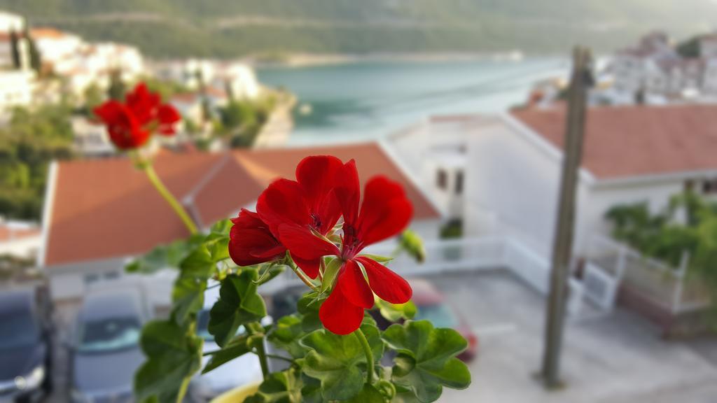Villa Piccolotti Неум Экстерьер фото
